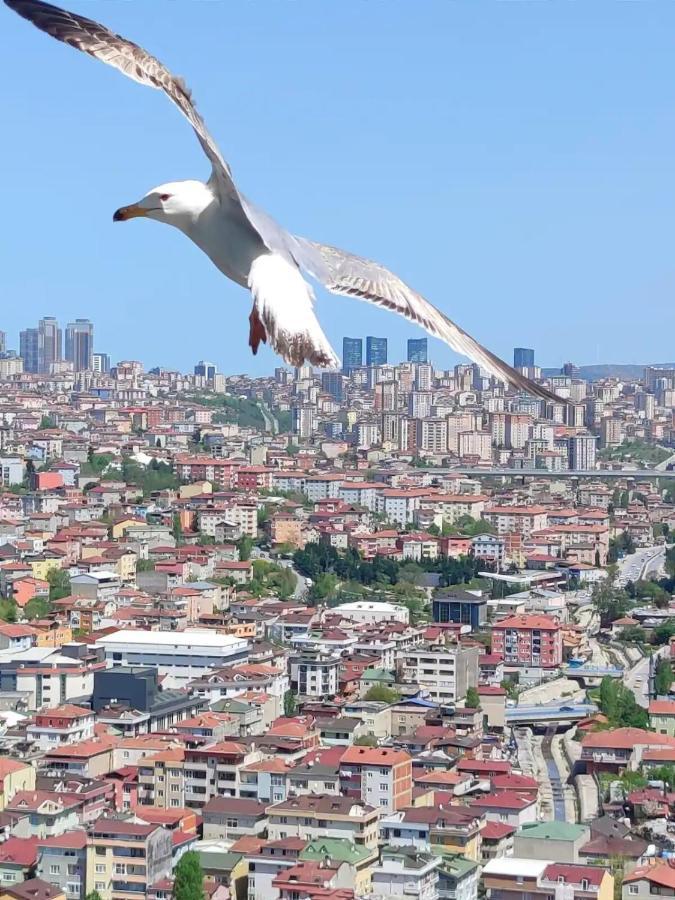 Magneficent Luxury Residence With Pool And Fitnes Provincia di Provincia di Istanbul Esterno foto
